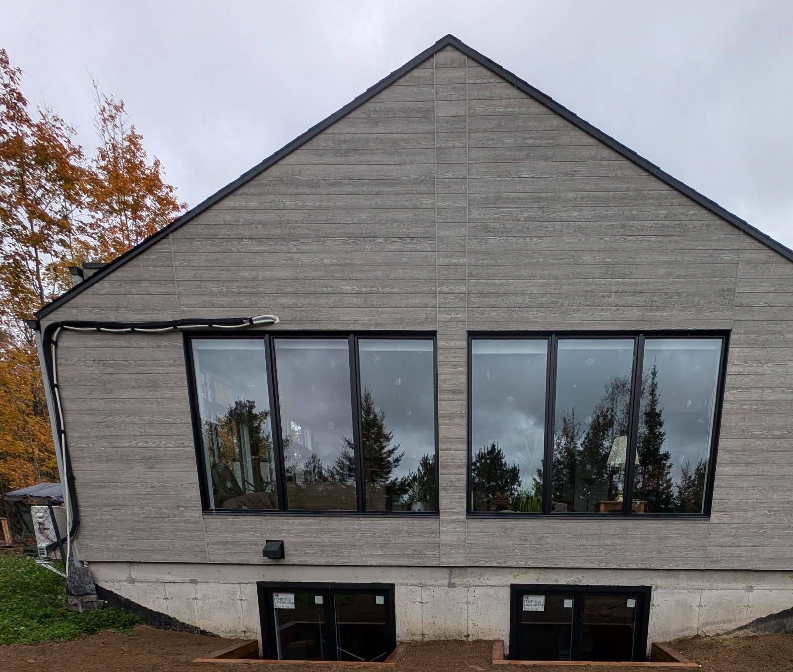 A white beautiful sheep staring into the camera